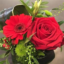 Morel Denise, Abc Floral