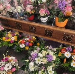Alma-Fleurs SA