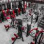 Appareils de musculation  - American Fitness salle de sport Carouge Genève