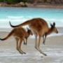 Australien.4