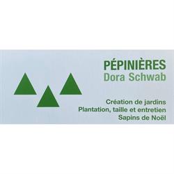 Schwab Dora
