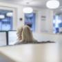 as immobilien ag - stark in Liegenschaften