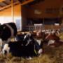 AGRO Treuhand Aargau AG