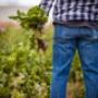 AGRO Treuhand Aargau AG
Treuhand für Landwirtschaft und Gewerbe