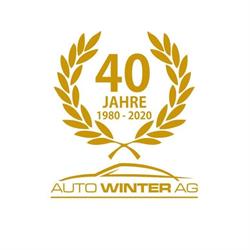 Auto Winter