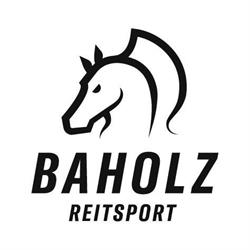 Baholz AG