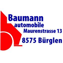 Baumann-Automobile I Service I Reparaturen