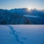 Beatenberg Tourismus Info