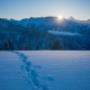 Beatenberg Tourismus Info