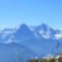 Beatenberg Tourismus Info -  Top view in pure nature