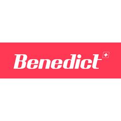 Benedict-Schule Luzern AG