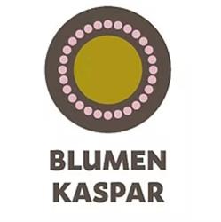 Kaspar