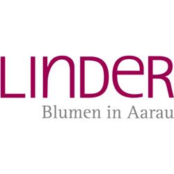 Linder Blumen am Bahnhofplatz in Aarau