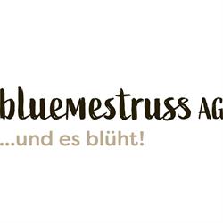 bluemestrussAG Wanninger