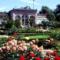 botanischer Garten