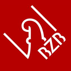 BZB Basler Zentrum für Bildung | Privatschule