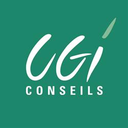 CGI Conseils