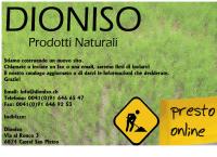 Dioniso