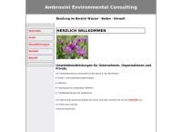 Ambrosini Environmental Consulting