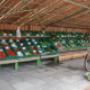 Selfpick-Schiffenen
