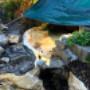 # 43