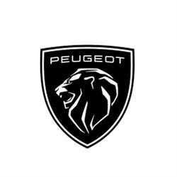 Garage du Repuis SA