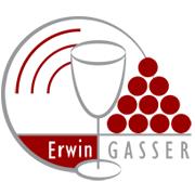 Gasser Erwin AG