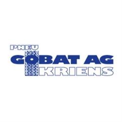 Pneu Gobat