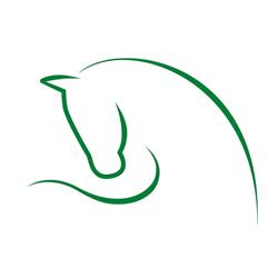 Hippotherapie-Zentrum - Stiftung