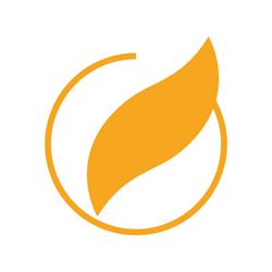 Holzenergie Schweiz