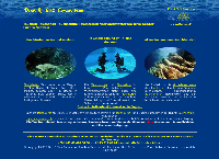 Website von Dive & Trek Connection Tauchschule Luzern Vierwaldstättersee