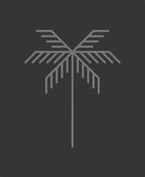 Jingle Jungle Professional Audiowork