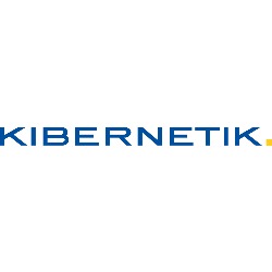 Kibernetik AG