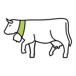 Vkmb Kleinbauern-Vereinigung