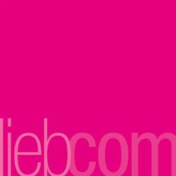 liebcom grafik+internet