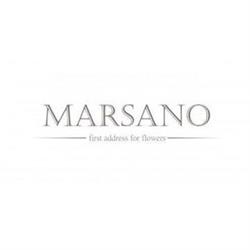 Marsano AG