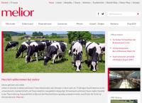 Website von Melior AG