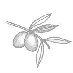 Stiftung Mercato Aarberg italienisches Restaurant
