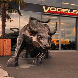 Vogels Off-Roads