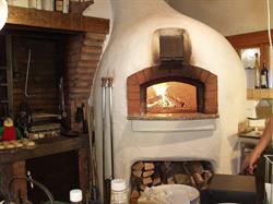 Il Pappagallo