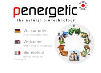 Penergetic International AG