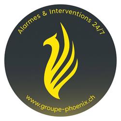 Phoenix Security Agency