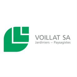VOILLAT SA