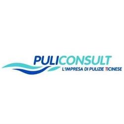 Puliconsult SA