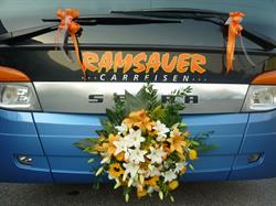Ramsauer Carreisen