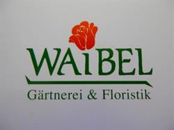 Waibel