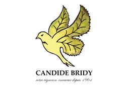 Cave Candide Bridy - Chez Bridy