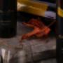 Perle du Rhodan Salgesch Wallis Walliser Wein Grand Cru IVV Mounir Salquenen Valais, Barrique Events Degustation Weindegustation Vins du Valais Olivier Mounir Sandra Rotzer Salgesch Wallis Salquenen Valais Mémoire des Vins Suisses Gault Millau