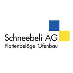 Schneebeli AG Felsberg