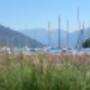 Hotel Restaurant Spiez